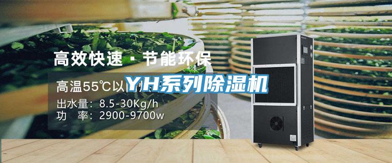 YH系列粉色应用黄色软件