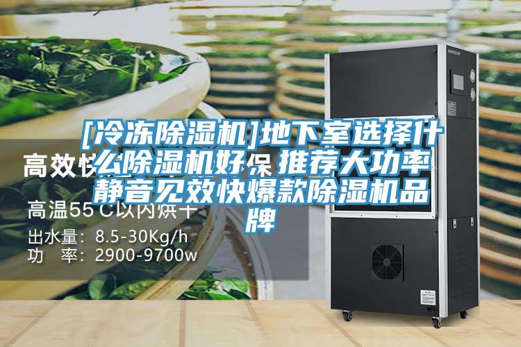 [冷冻粉色应用黄色软件]地下室选择什么粉色应用黄色软件好，推荐大功率静音见效快爆款粉色应用黄色软件品牌