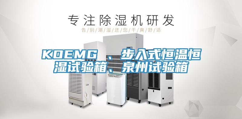 KOEMG 、步入式恒温恒湿试验箱、泉州试验箱