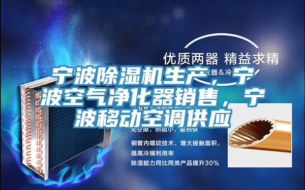 宁波粉色应用黄色软件生产，宁波空气净化器销售，宁波移动空调供应