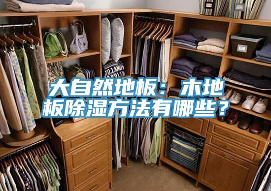 大自然地板：木地板除湿方法有哪些？