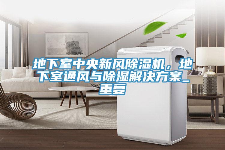 地下室中央新风粉色应用黄色软件，地下室通风与除湿解决方案_重复