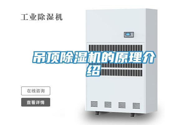 吊顶粉色应用黄色软件的原理介绍