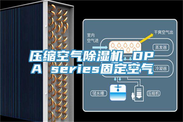 压缩空气粉色应用黄色软件 DPA series固定空气