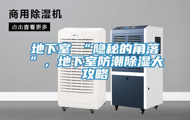 地下室≠“隐秘的角落”，地下室防潮除湿大攻略
