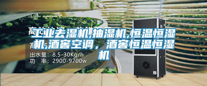 工业去湿机,抽湿机,恒温恒湿机,酒窖空调，酒窖恒温恒湿机