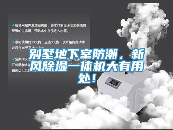 别墅地下室防潮，新风除湿一体机大有用处！