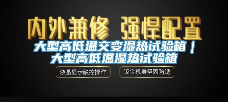 大型高低温交变湿热试验箱|大型高低温湿热试验箱