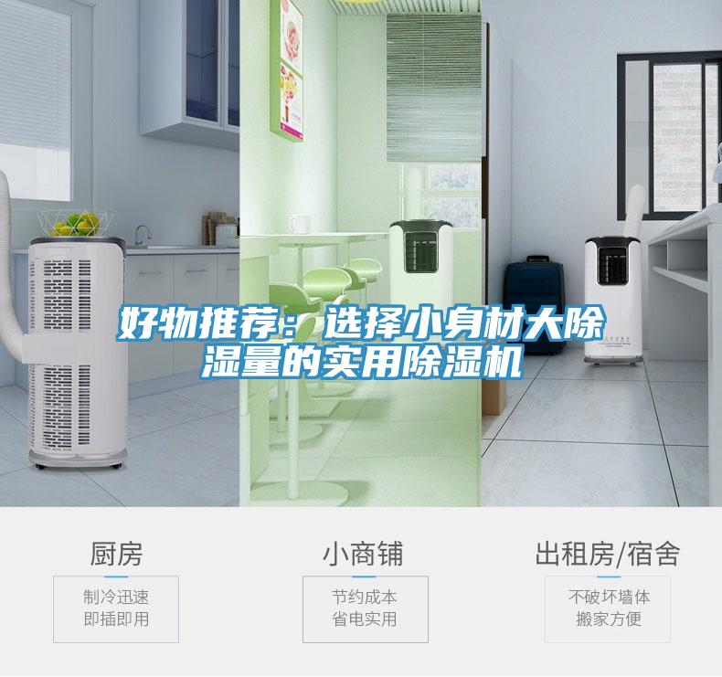 好物推荐：选择小身材大除湿量的实用粉色应用黄色软件