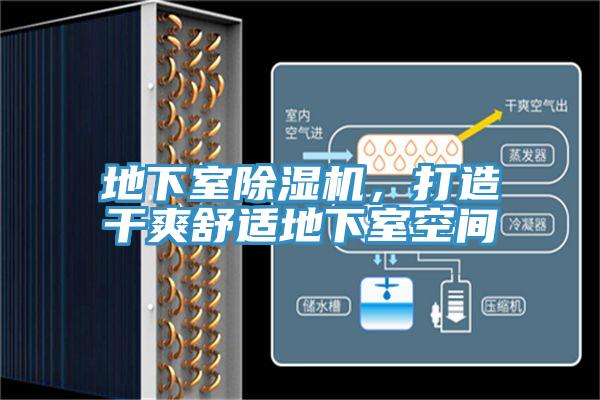 地下室粉色应用黄色软件，打造干爽舒适地下室空间