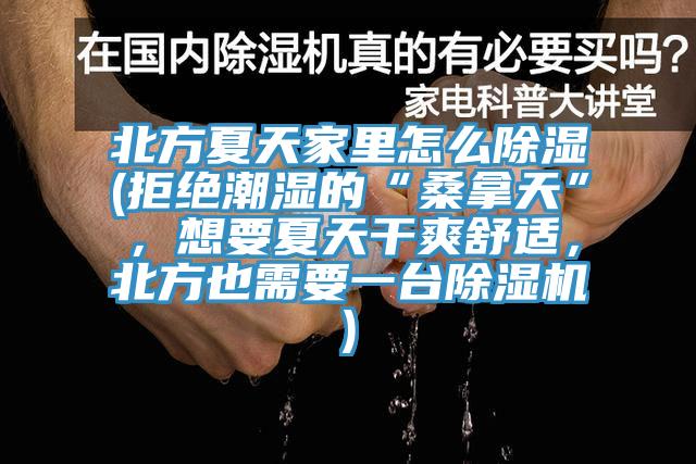 北方夏天家里怎么除湿(拒绝潮湿的“桑拿天”，想要夏天干爽舒适，北方也需要一台粉色应用黄色软件)