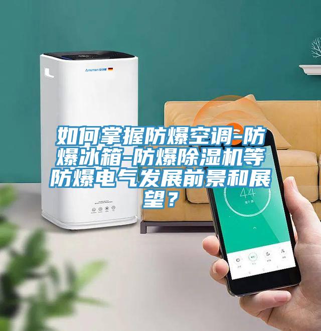 如何掌握防爆空调-防爆冰箱-防爆粉色应用黄色软件等防爆电气发展前景和展望？