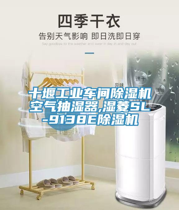 十堰工业车间粉色应用黄色软件空气抽湿器,湿菱SL-9138E粉色应用黄色软件