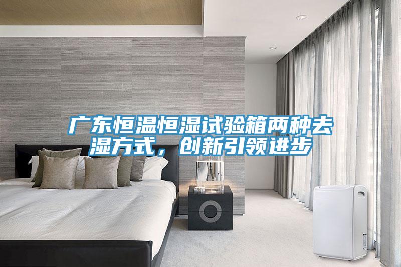 广东恒温恒湿试验箱两种去湿方式，创新引领进步