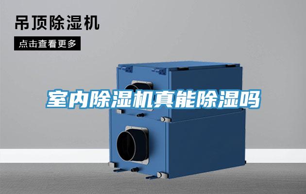 室内粉色应用黄色软件真能除湿吗