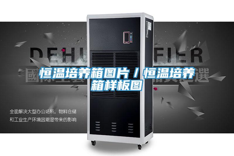 恒温培养箱图片/恒温培养箱样板图