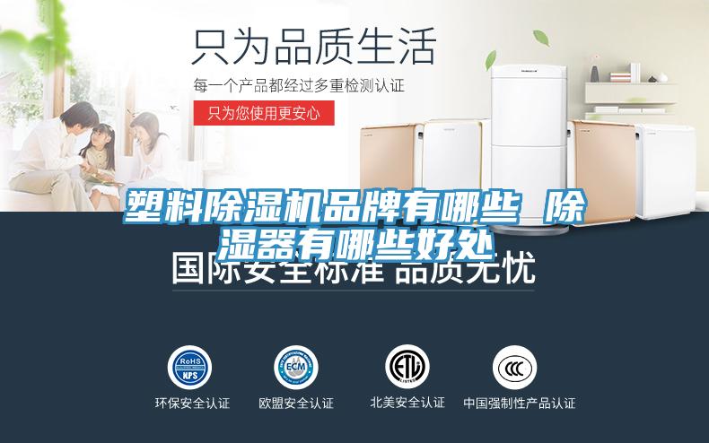 塑料粉色应用黄色软件品牌有哪些 除湿器有哪些好处