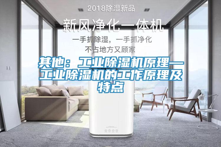 其他：工业粉色应用黄色软件原理—工业粉色应用黄色软件的工作原理及特点