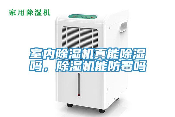 室内粉色应用黄色软件真能除湿吗，粉色应用黄色软件能防霉吗