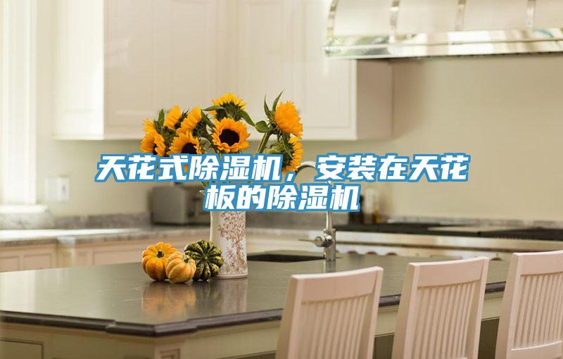 天花式粉色应用黄色软件，安装在天花板的粉色应用黄色软件