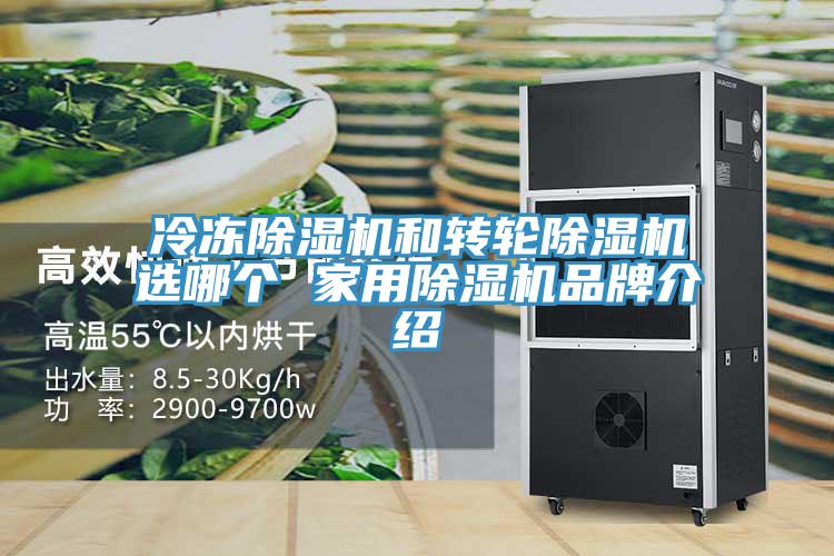 冷冻粉色应用黄色软件和转轮粉色应用黄色软件选哪个 家用粉色应用黄色软件品牌介绍