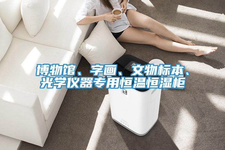 博物馆、字画、文物标本、光学仪器专用恒温恒湿柜
