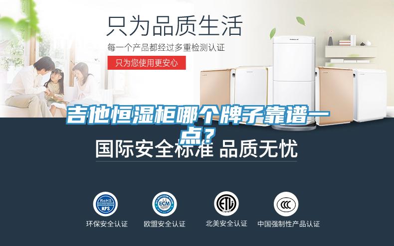 吉他恒湿柜哪个牌子靠谱一点？