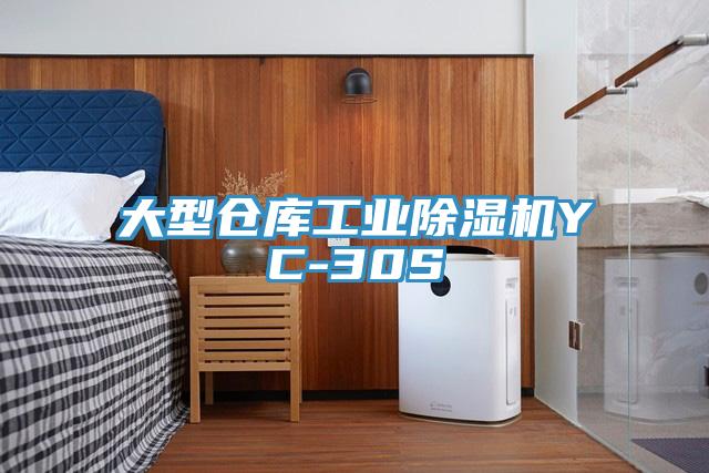 大型仓库工业粉色应用黄色软件YC-30S