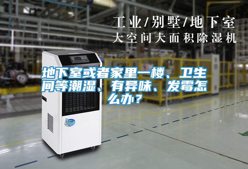 地下室或者家里一楼、卫生间等潮湿、有异味、发霉怎么办？