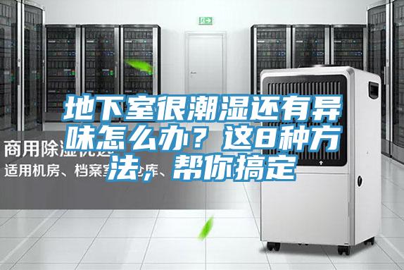 地下室很潮湿还有异味怎么办？这8种方法，帮你搞定