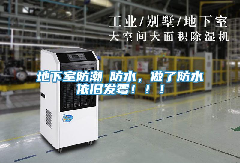 地下室防潮≠防水，做了防水依旧发霉！！！