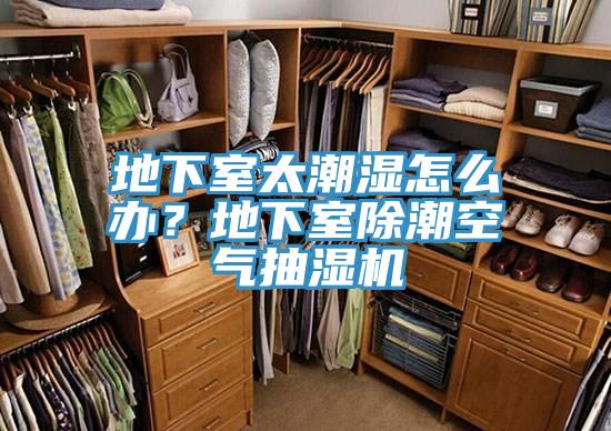 地下室太潮湿怎么办？地下室除潮空气抽湿机