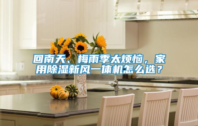 回南天、梅雨季太烦恼，家用除湿新风一体机怎么选？