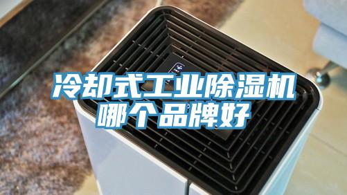 冷却式工业粉色应用黄色软件哪个品牌好