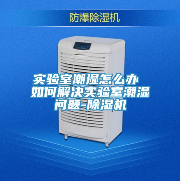 实验室潮湿怎么办 如何解决实验室潮湿问题-粉色应用黄色软件