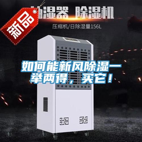 如何能新风除湿一举两得，买它！