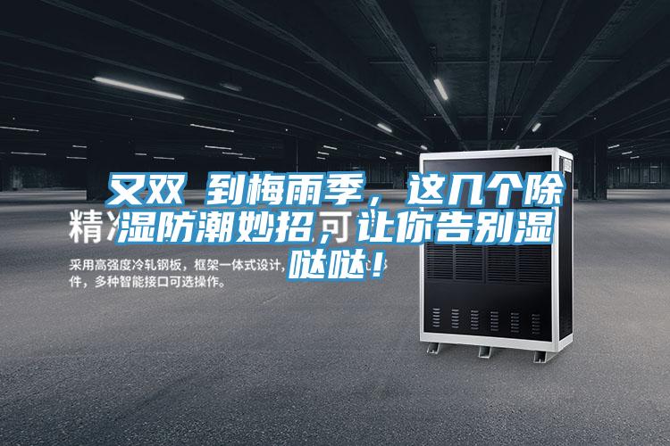 又双叒到梅雨季，这几个除湿防潮妙招，让你告别湿哒哒！