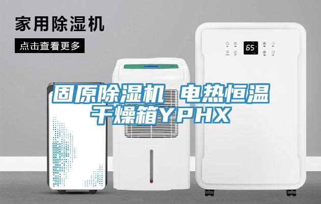 固原粉色应用黄色软件 电热恒温干燥箱YPHX