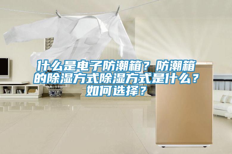 什么是电子防潮箱？防潮箱的除湿方式除湿方式是什么？如何选择？