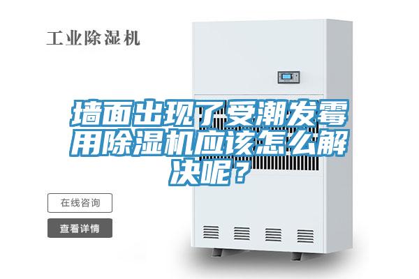 墙面出现了受潮发霉用粉色应用黄色软件应该怎么解决呢？