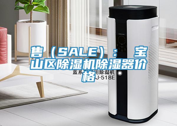 售（SALE）： 宝山区粉色应用黄色软件除湿器价格