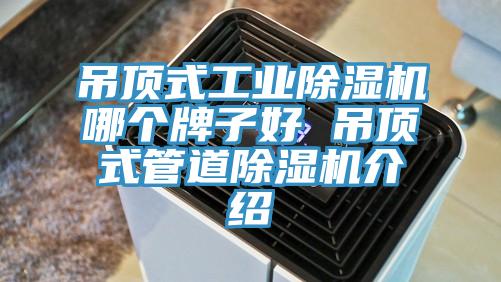 吊顶式工业粉色应用黄色软件哪个牌子好 吊顶式管道粉色应用黄色软件介绍