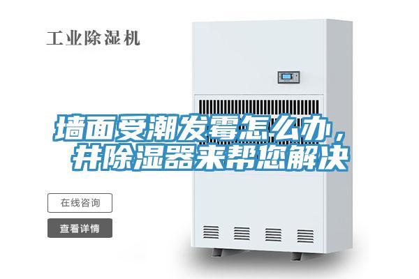 墙面受潮发霉怎么办，東井除湿器来帮您解决