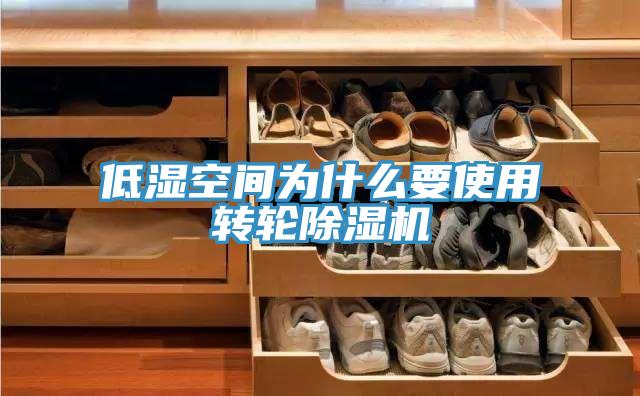 低湿空间为什么要使用转轮粉色应用黄色软件