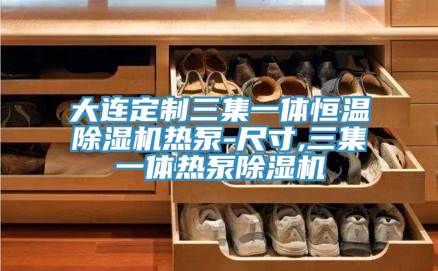 大连定制三集一体恒温粉色应用黄色软件热泵-尺寸,三集一体热泵粉色应用黄色软件