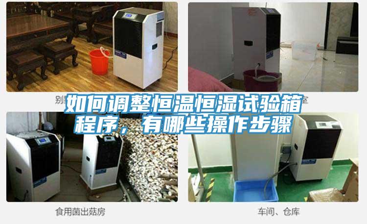 如何调整恒温恒湿试验箱程序，有哪些操作步骤