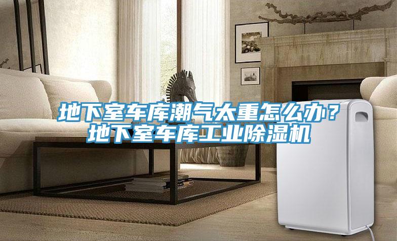 地下室车库潮气太重怎么办？地下室车库工业粉色应用黄色软件