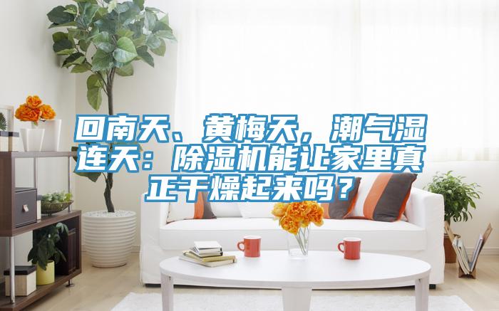 回南天、黄梅天，潮气湿连天：粉色应用黄色软件能让家里真正干燥起来吗？