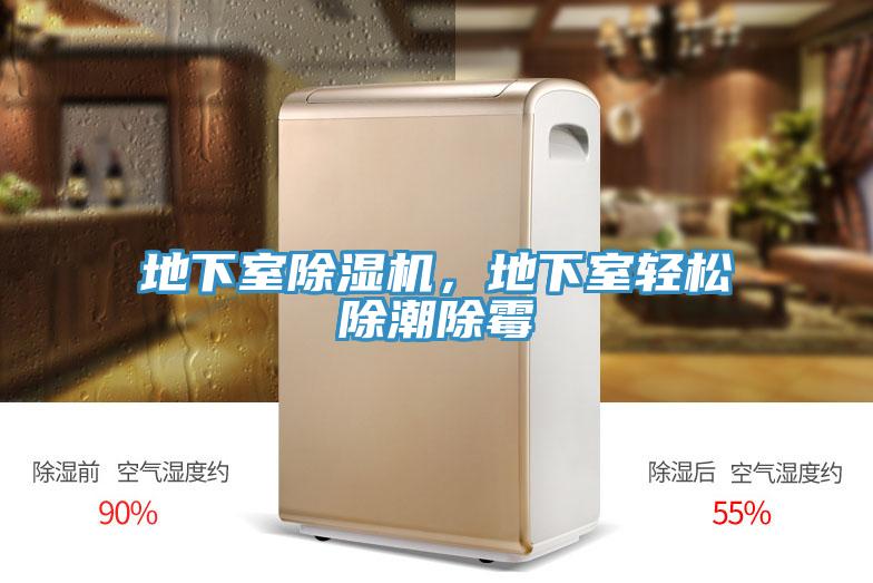 地下室粉色应用黄色软件，地下室轻松除潮除霉