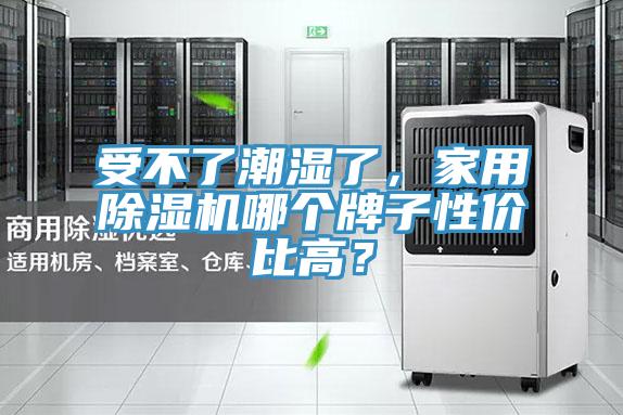 受不了潮湿了，家用粉色应用黄色软件哪个牌子性价比高？